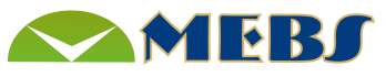 Mebs Güvenlik Logo